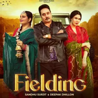Fielding Ft. Deepak Dhillon