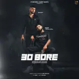 30 Bore