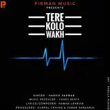 Tere Kolo Wakh