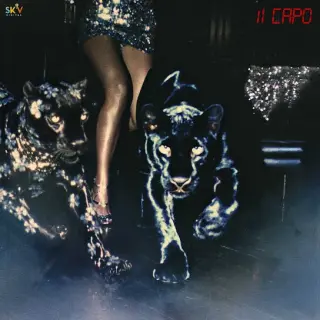 Il Capo