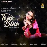Tere Bina