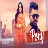 Pony