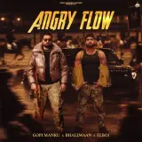 Angry Flow