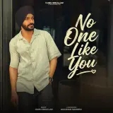 No One Like You
