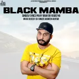 Black Mamba