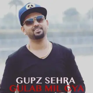 Gulab Mil Gya