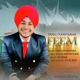 Feem