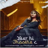Yaar Hi Jhootha C