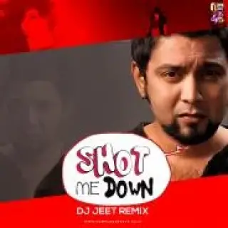 She Shot Me Down Ft. David Guetta (Mashup)