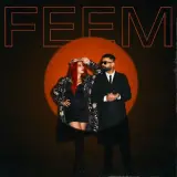FEEM