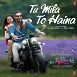 Tu Mila (De De Pyaar De)