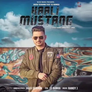 Kaali Mustang