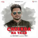 Cheekda Na Yaar