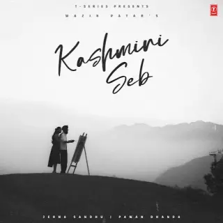 Kashmiri Seb