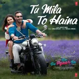 Tu Mila To Haina (De De Pyaar De)