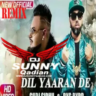 Dil Yaaran De Remix