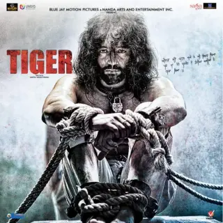 Tiger (2016)