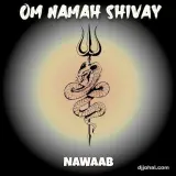 Om Namah Shivay