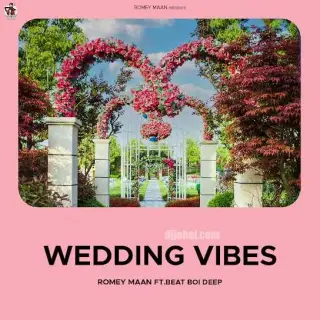 Wedding Vibes