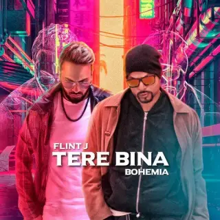 Tere Bina Ft. Bohemia
