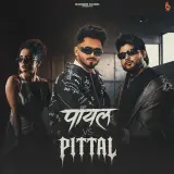 Payal Vs Pittal