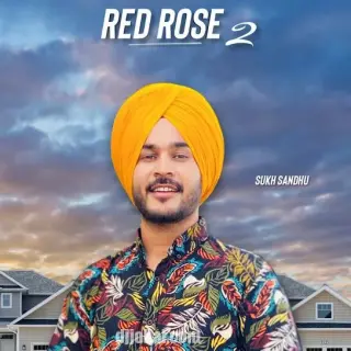 Red Rose 2