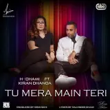 Tu Mera Main Teri