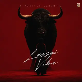 Lassoi Vibe