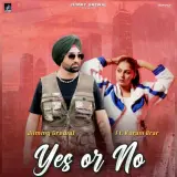 YES OR NO