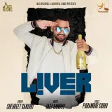 Liver