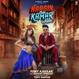 Naagin Jaisi Kamar Hila (Sangeetkaar)