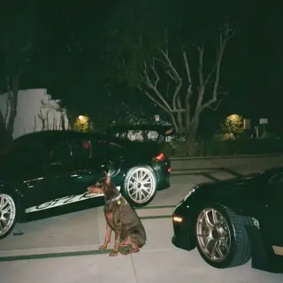 Dream Machines
