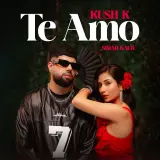 Te Amo