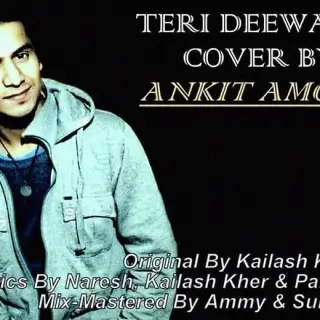 Teri Deewani