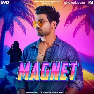 Magnet