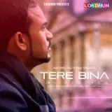 Tere Bina (iTunes)