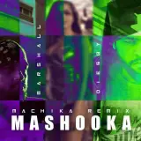 Mashooka