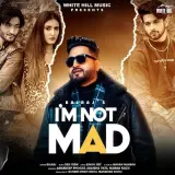 I M Not Mad Ft. Desi Crew