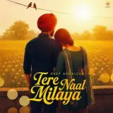 Tere Naal Milaya