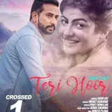 Teri Hoor