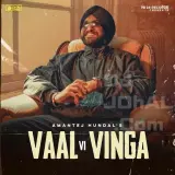 Vaal Vi Vinga
