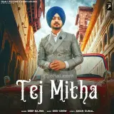 Tej Mitha
