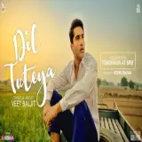 Dil Tuteya