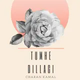 tumhe dillagi remix