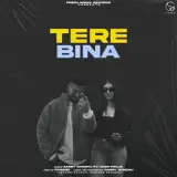 Tere Bina