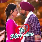 Tu Meri Aan