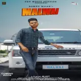 Malwai Ft. Sulfa