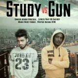 Study Vs Gun