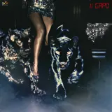 Il Capo