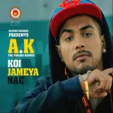 Koi Jameya Nae